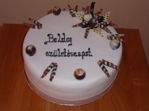 Burkolt torta_11